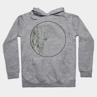 Townsends Warbler in Poplar Tree Hoodie